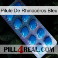 Pilule De Rhinocéros Bleu viagra1